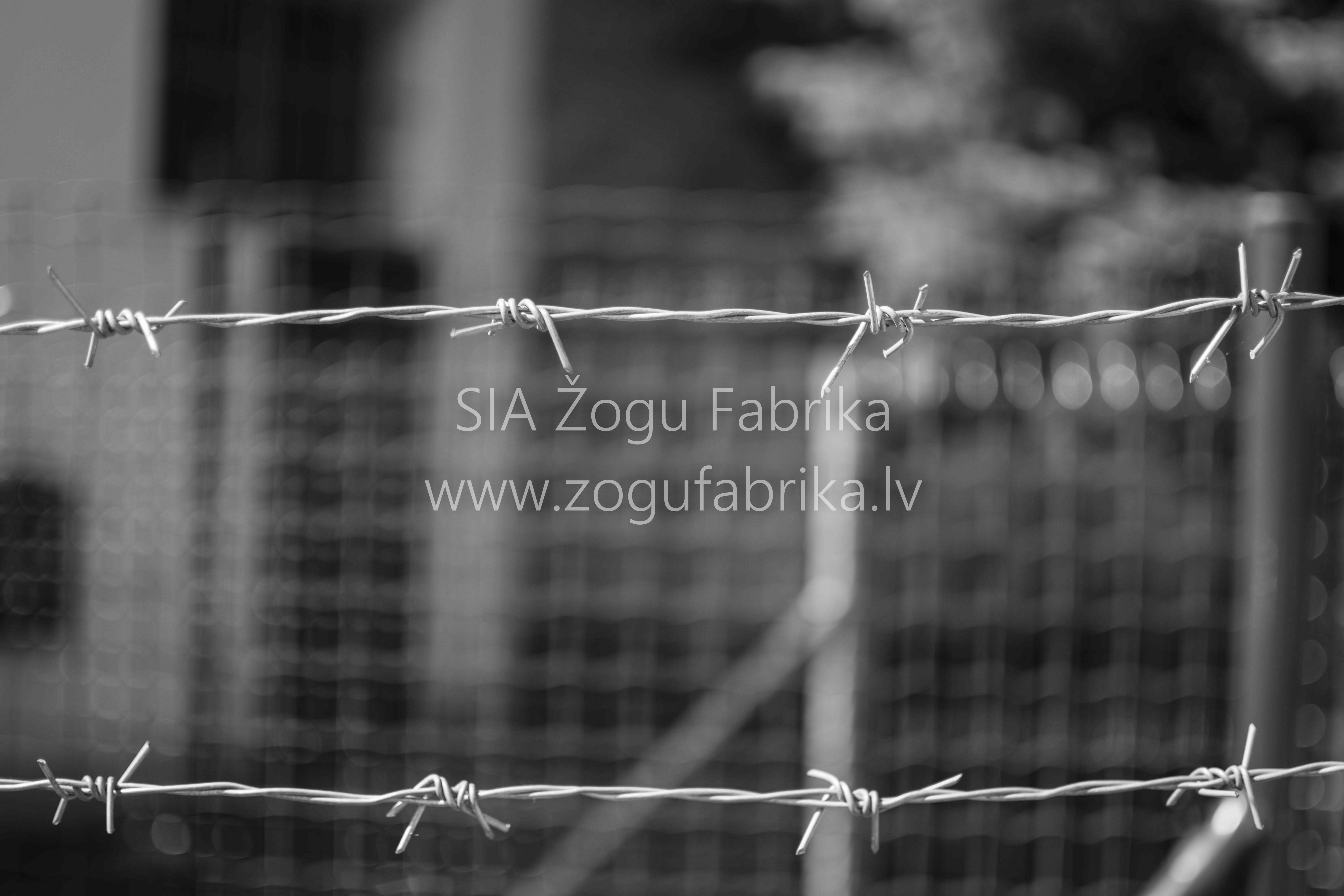 Small0622015